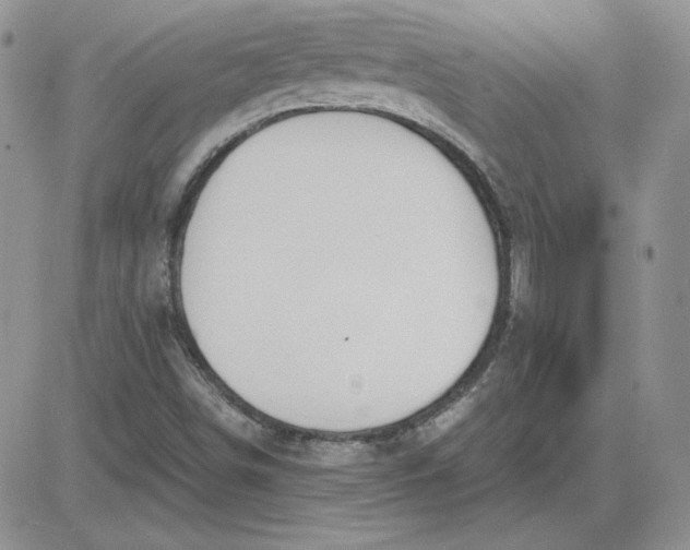 X0000081291498200701251640