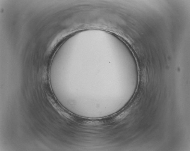 X0000081291499200701251640