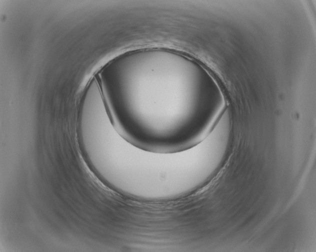 X0000081291500200701251640