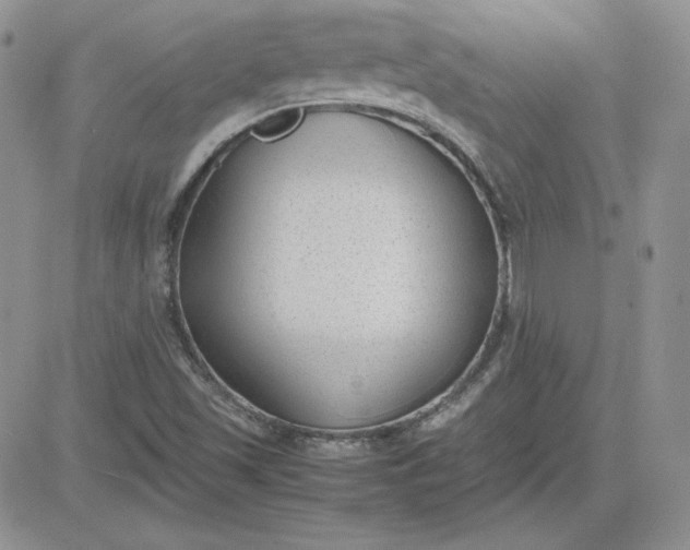 X0000081291501200701251640