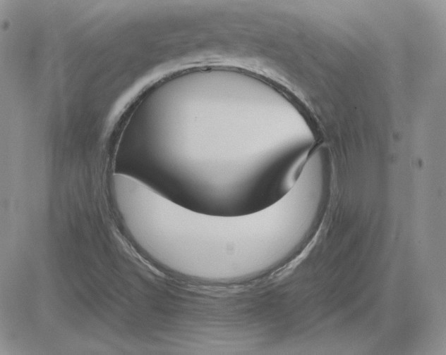 X0000081291502200701251640