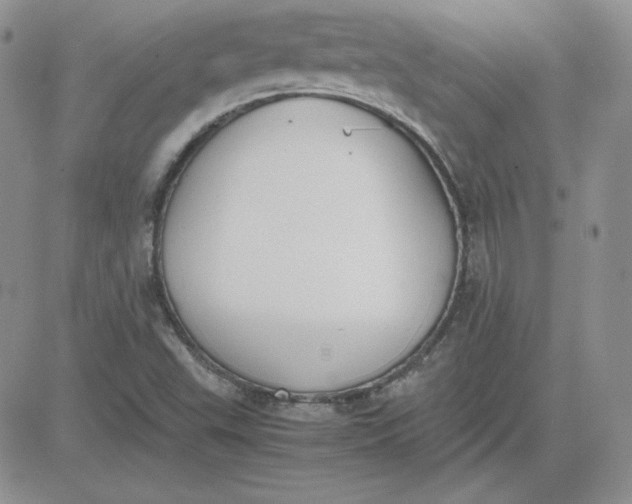 X0000081291503200701251640