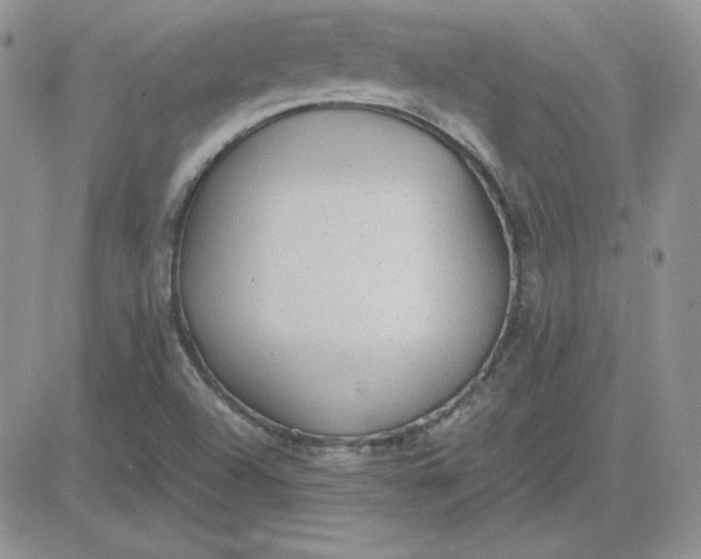 X0000081291504200701251640