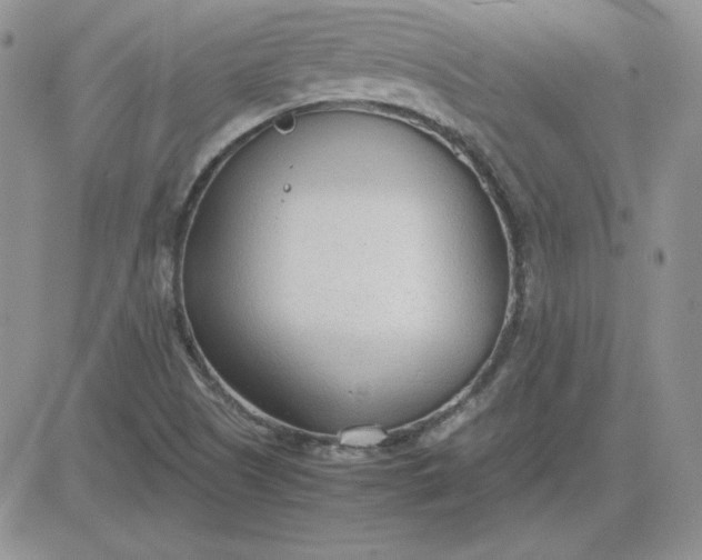 X0000081291505200701251640