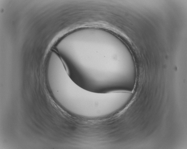 X0000081291506200701251640