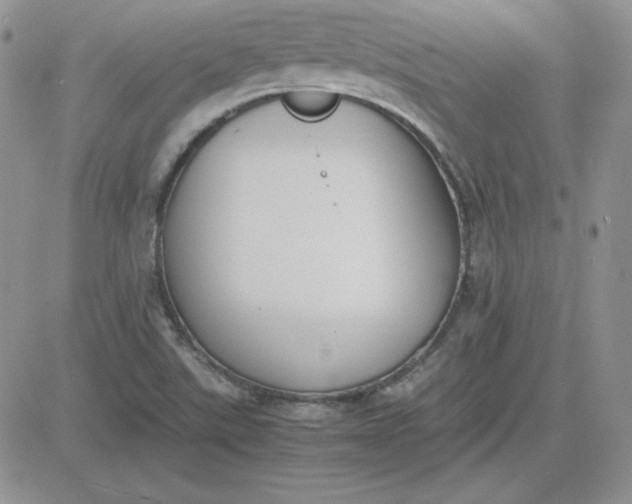 X0000081291507200701251640