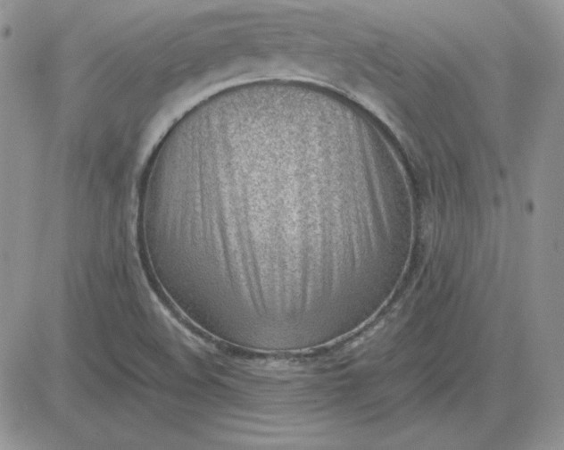 X0000081291508200701251640