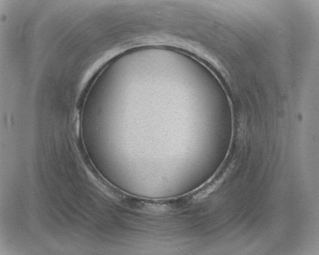 X0000081291509200701251640