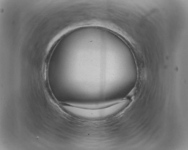 X0000081291510200701251640