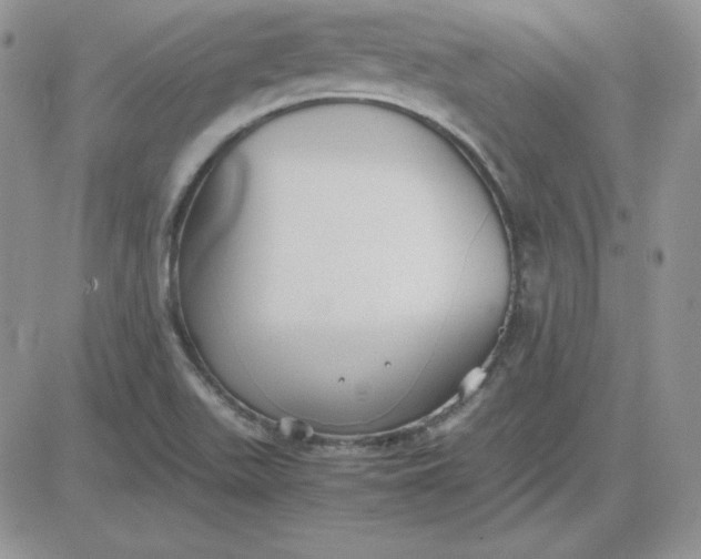 X0000081291511200701251640