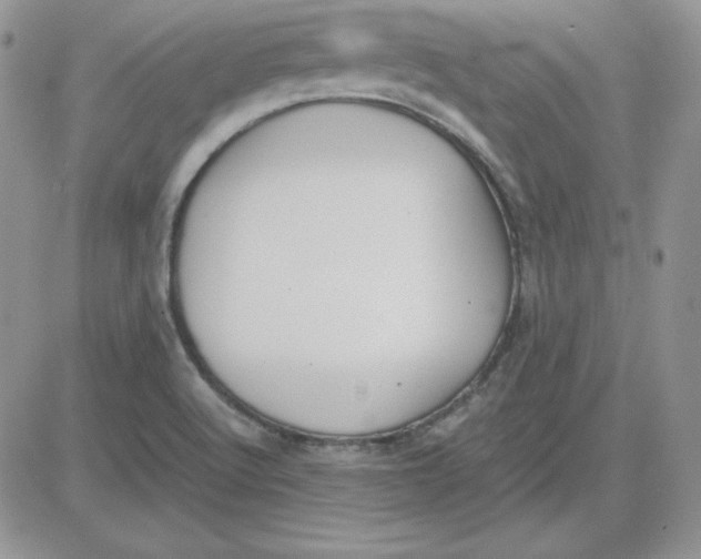 X0000081291512200701251640