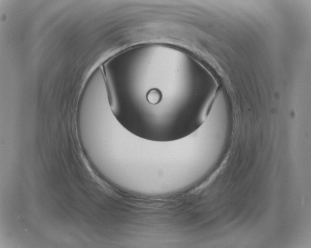 X0000081291513200701251640