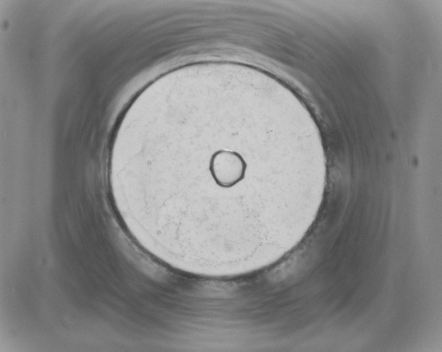 X0000081291514200701251640