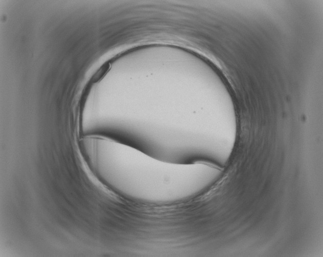 X0000081291515200701251640