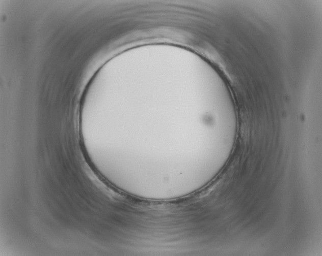 X0000081291516200701251640