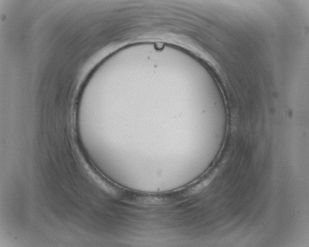 X0000081291517200701251640