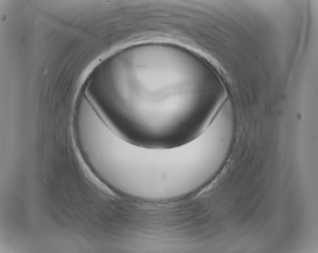 X0000081291518200701251640