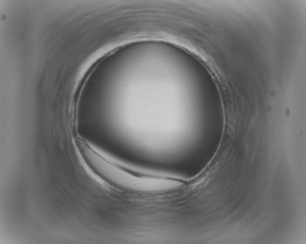 X0000081291519200701251640