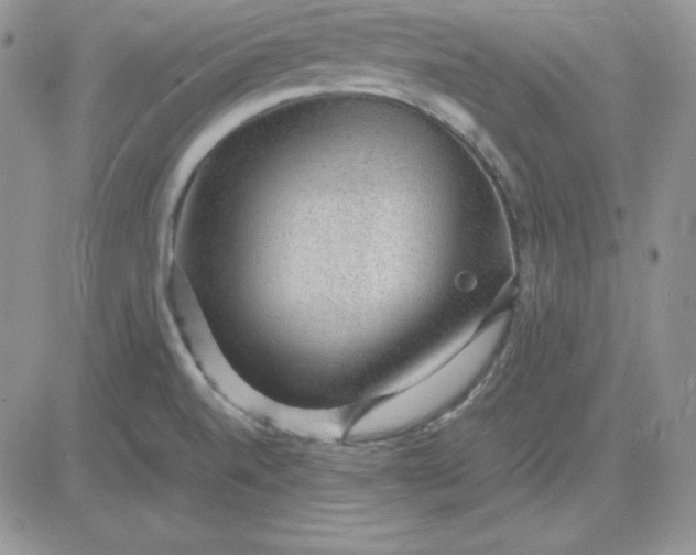 X0000081291520200701251640