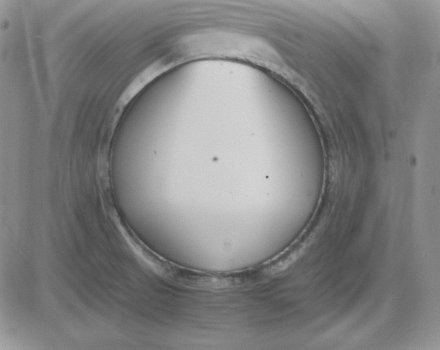 X0000081291521200701251640