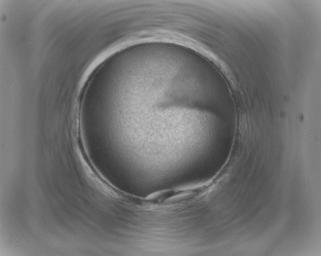 X0000081291522200701251640