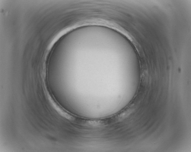 X0000081291523200701251640