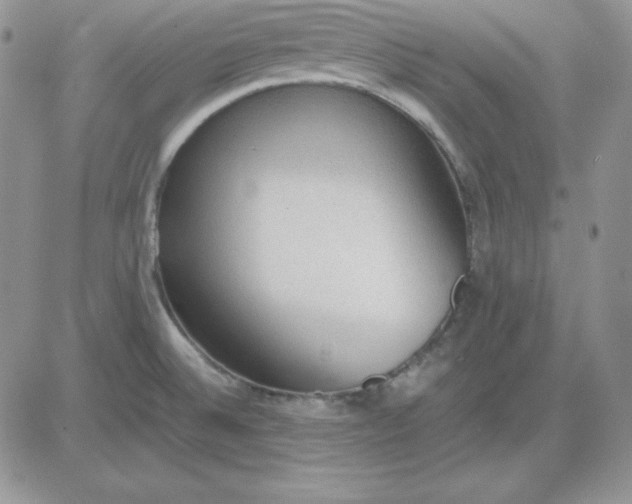 X0000081291524200701251640