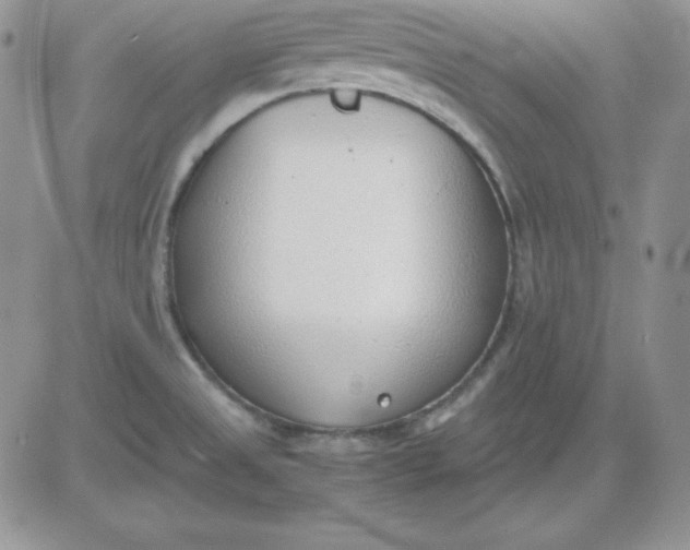 X0000081291525200701251640