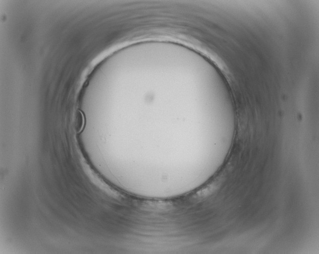 X0000081291526200701251640