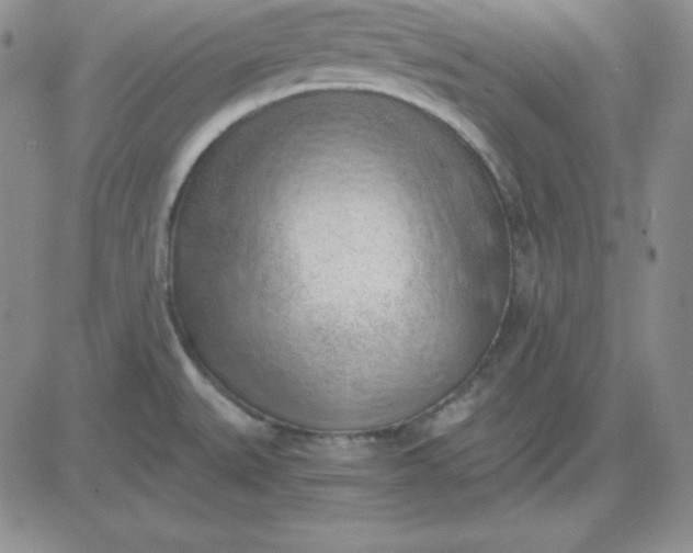 X0000081291527200701251640