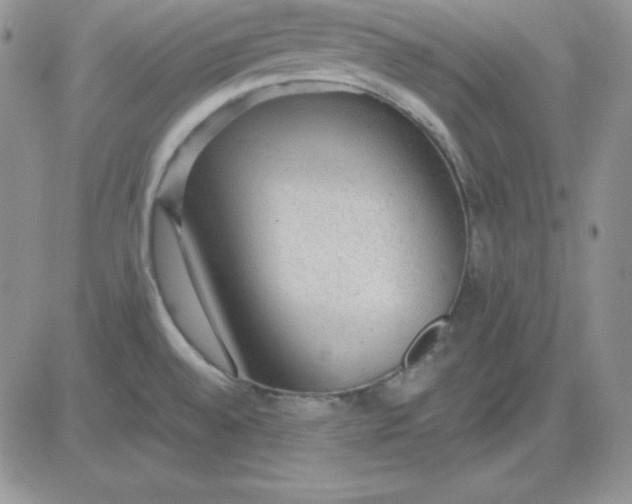 X0000081291528200701251640