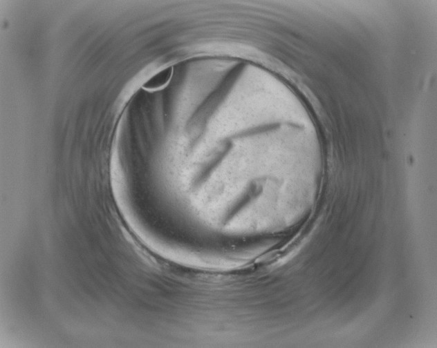 X0000081291529200701251640