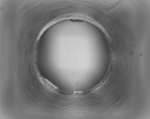 X0000081291530200701251640