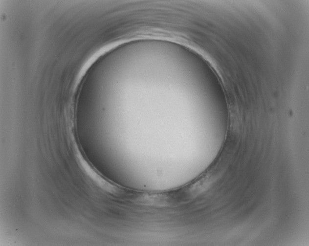 X0000081291531200701251640