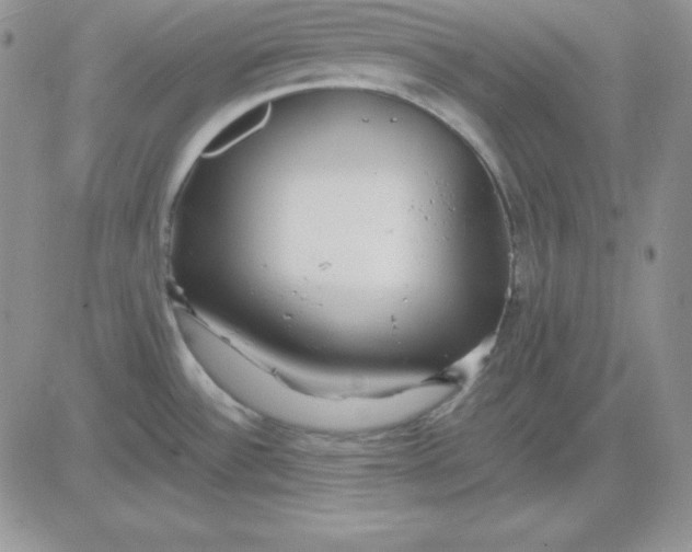 X0000081291532200701251640