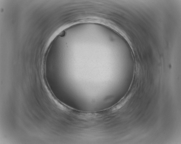 X0000081291533200701251640