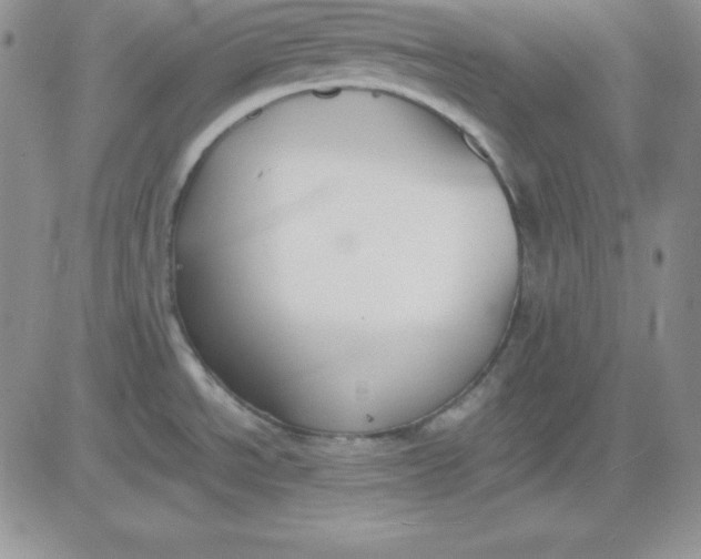 X0000081291534200701251640