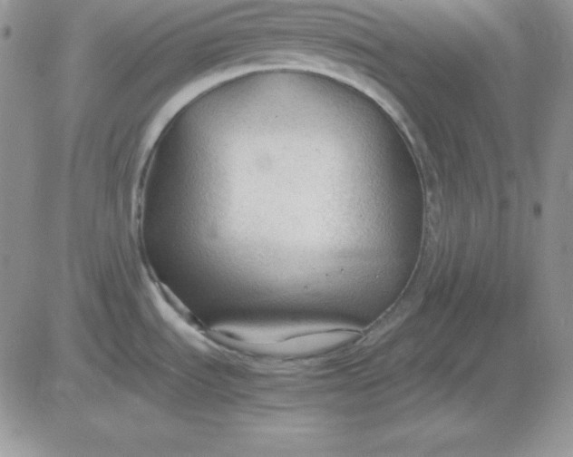 X0000081291535200701251640