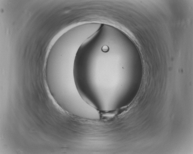 X0000081291536200701251640