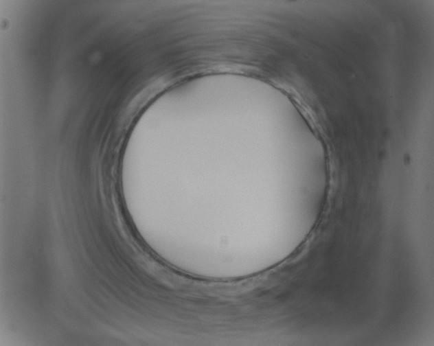 X0000081290001200702012256