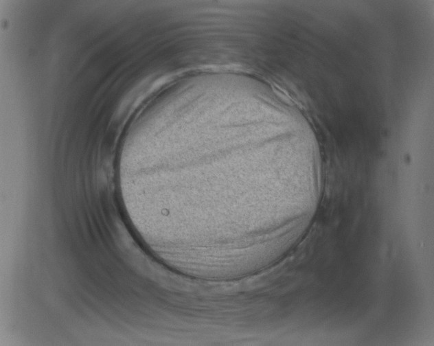 X0000081290002200702012256