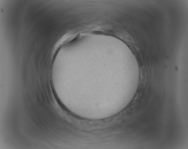 X0000081290003200702012256