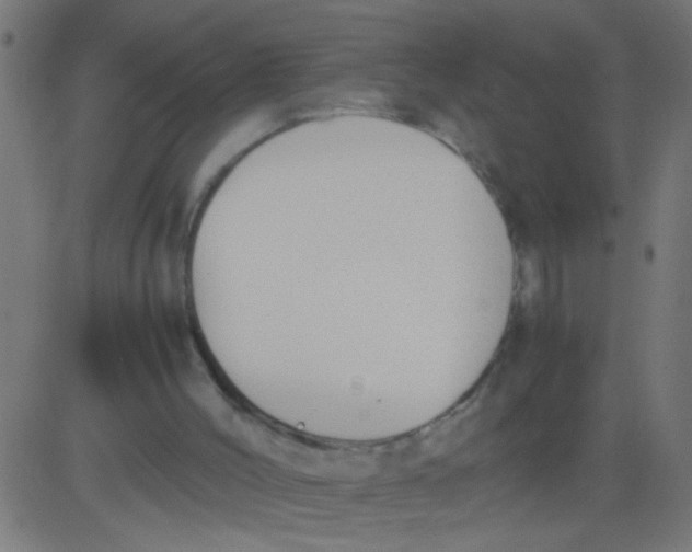 X0000081290004200702012256