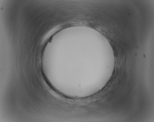 X0000081290005200702012256