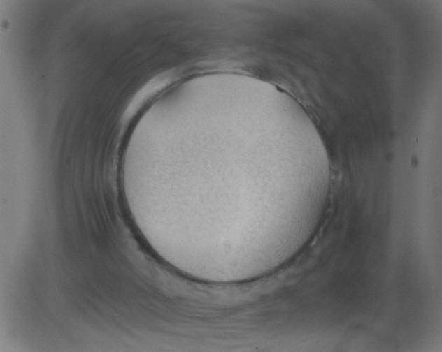 X0000081290006200702012256