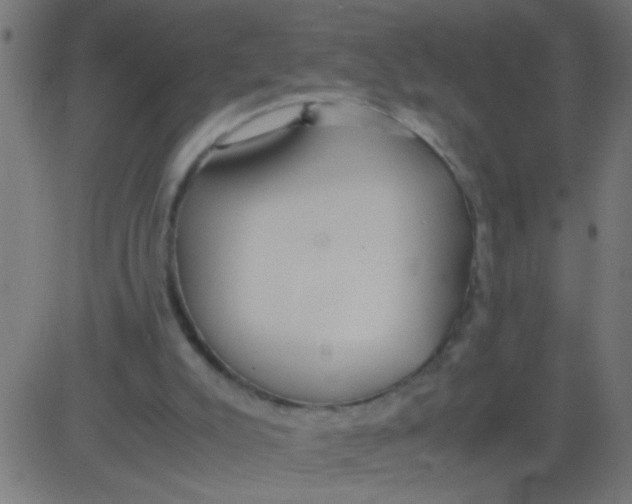 X0000081290007200702012256