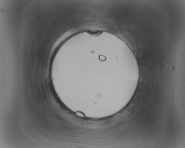 X0000081290008200702012256