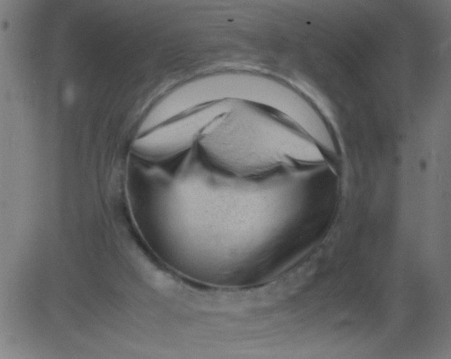 X0000081290009200702012256