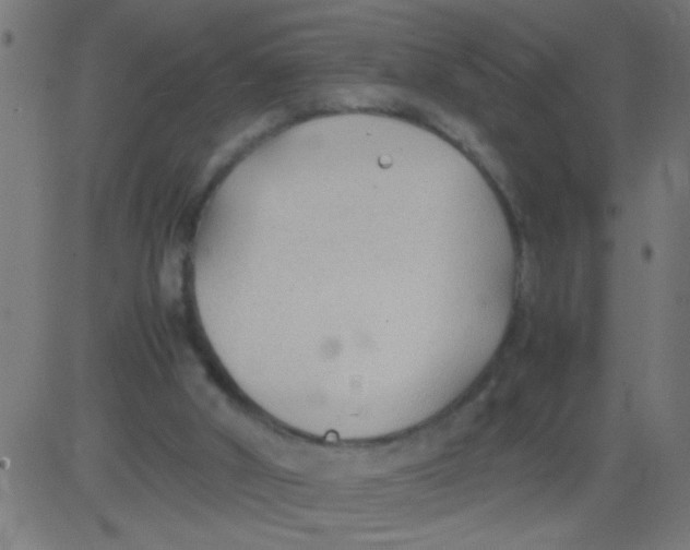 X0000081290010200702012256