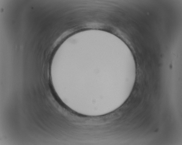 X0000081290011200702012256